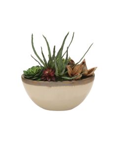 Succulent Garden in Glazed Tan Ceramic Oval Planter