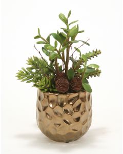 Jade, Succulents and Cactus in Burnt Gold Gabbi Planter