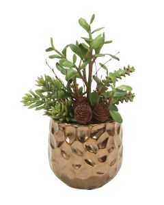 Jade, Succulents and Cactus in Burnt Gold Gabbi Planter