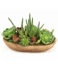 Succulent Garden in Wood Bowl