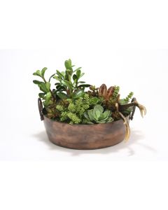 Succulent Mix in Round Copper Planter