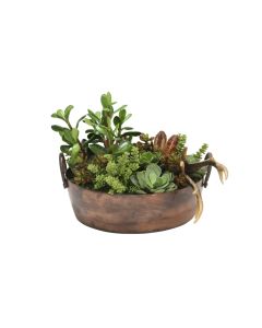 Succulent Mix in Round Copper Planter