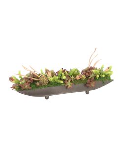 Succulents in Bronze Tray