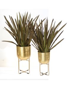 Blade Foliage in Brass Plant Stand Set of 2