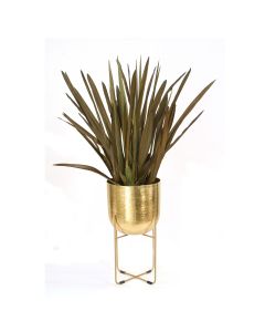 Blade Foliage in Brass Plant Stand-Large