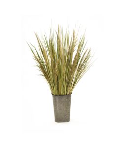 Natural Grass with Reeds in Metal Wall Pocket