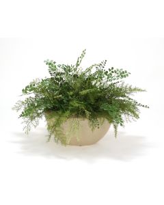 Springerii and Fern Mixture in Oval Beige with Bronze Rim Ceramic Planter