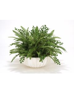 Fern Mixture in Ivory Highland Bowl