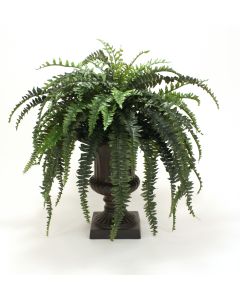 Boston Fern in Large Classic Urn