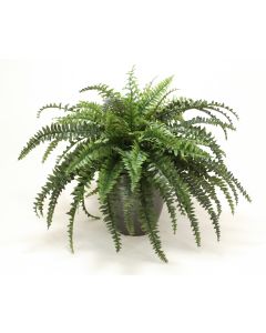 1951 - Boston Fern in Larg Black Orb Planter