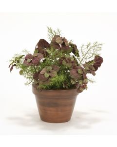 ***Discontinued*** Mint Plant with Springerii Fern in Azalea Pot