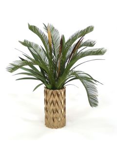 Cycas Palm and Orchid Foliage in Earthenware Burnt Gold Zig Zag Vase