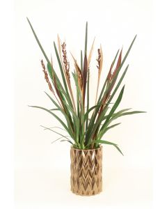 Snake Plant Mixed with Bahia Spears in Burnt Gold Zig Zag Vase