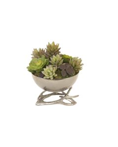 Mixed Succulents in Black Nickel Deer Horn Bowl