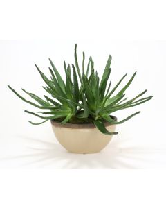 Agave in Oval Vase with Shellish Sand Glaze