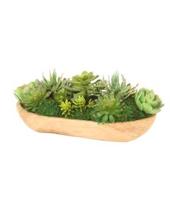 Succulent Garden in Wood Bowl