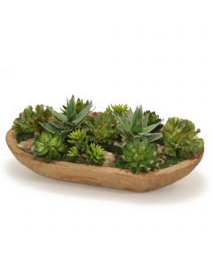 Succulent Garden in Wood Bowl