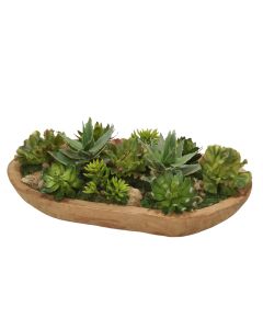 Succulent Garden in Wood Bowl