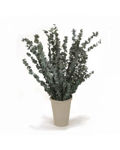 Dried Eucalyptus in Grey Pot