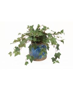 Ivy in Rustic Blue Pot