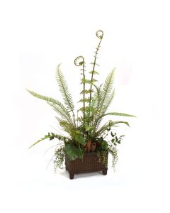 Fern Mix in Basket