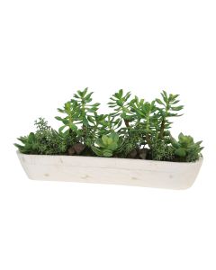 Mixed Succulent Garden in White Wooden Trough