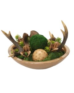 Mixed Succulent Garden and Moss in Mocha Stoneware Bowl