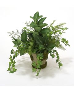 Mini Ivy with Fern and Orange Foliage in Mossed Pot