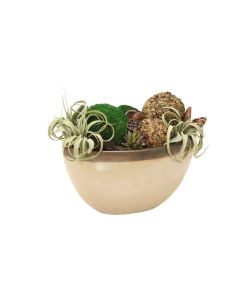 Mixed Succulent Garden with Pods in Beige Planter