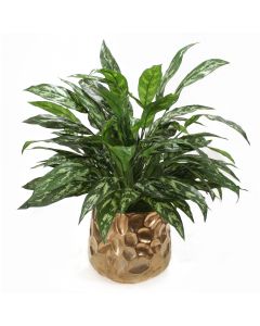 Silver Queen Floor Plant in Gold Planter