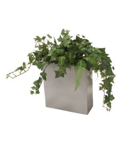 Mini Ivy & Fern in Tall Pillow Vase (Set of 2)