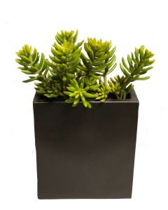 Succulents in Tall Metal Pillow Vase (Set of 2)