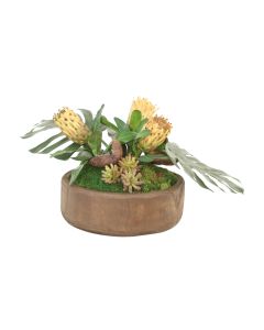 Succulent Garden with Protea and Split Philo in Round Wood Bowl
