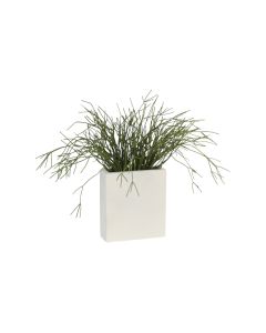 Pencil Catus in White Metal Tall Planter
