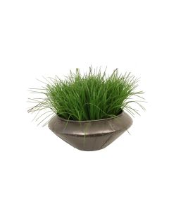 Grass in Round Metal Planter