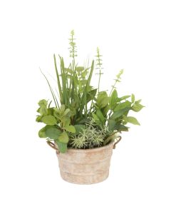 Herb Garden in Metal Round Planter with Handles