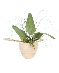 Tropical Foliage and Succulents in Oval Planter