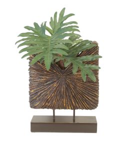 Philodendron in Starburst Standup Container