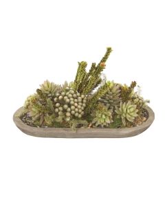 Succulent with Buxfliua and Brunia in Wood Oval Bowl
