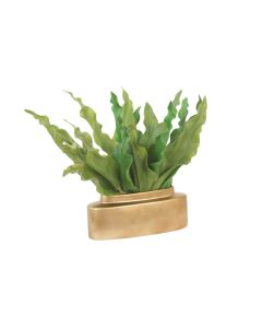 Tulip Leaves in Gold Oval Planter