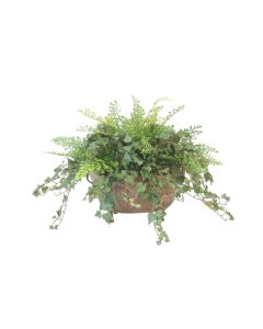 Mountain Ivy and Lace Fern in Metal Planter