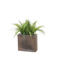 Grass in Bronze Planter
