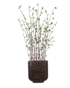 Birch in an Oval Textured Planter
