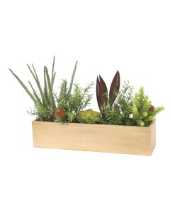 Succulent Garden Mix in Tan Rectangular Box