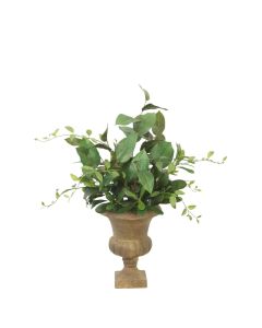 Bayleaf Mixed with Pittosporum in Classic Small Urn