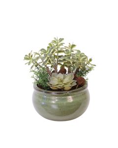 Succulent Garden in Green Garden Pot
