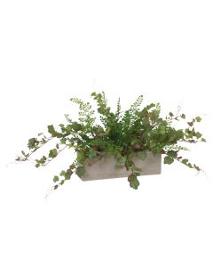 Maiden Hair Mixed with Flocked Grapeleaf in Concrete Box