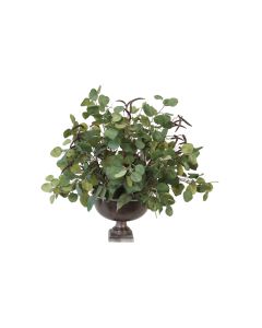 Eucalyptus Mixed with Flax Flower and Capensia Leaves in Urn