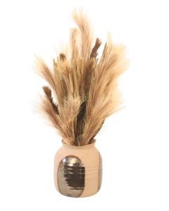 Pampas Grass in Tan Two Toned Pot