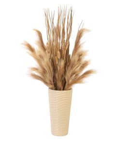 Pampas Grass in Wavy Textured Pot